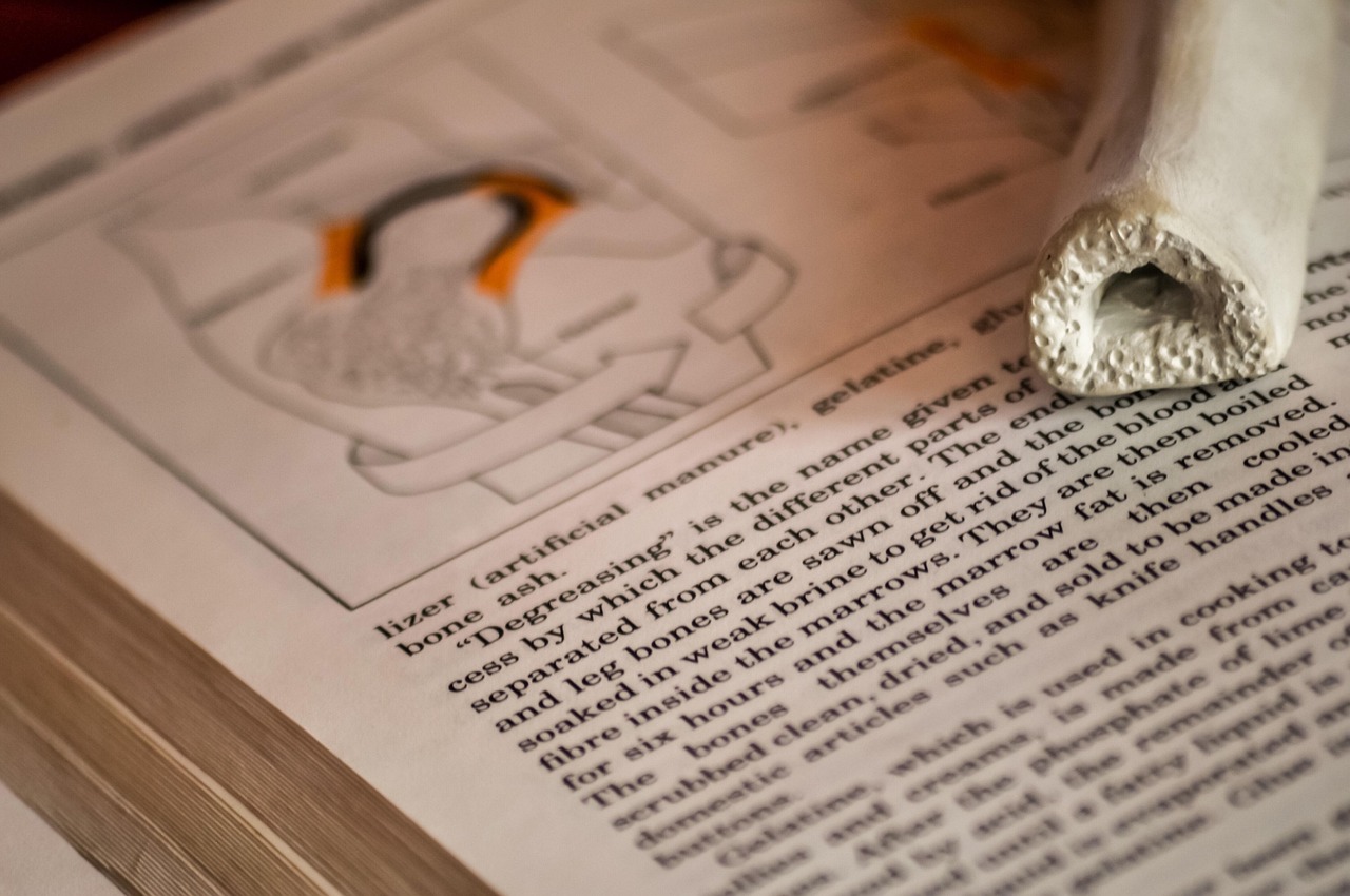 encyclopedia, book, text, paper, school, learning, lined paper, medical, medicine, biology, anatomy, college research, learn, bone, bones, model, interesting, doctor, nurse, brown school, brown medical, brown learning, brown doctors, brown research, brown medicine, encyclopedia, encyclopedia, encyclopedia, encyclopedia, encyclopedia, anatomy, nurse, nurse, nurse